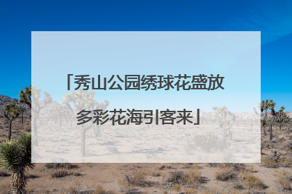秀山公园绣球花盛放 多彩花海引客来