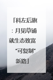 科左后旗：月见草铺就生态致富“可复制”新路