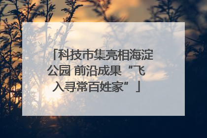 科技市集亮相海淀公园 前沿成果“飞入寻常百姓家”