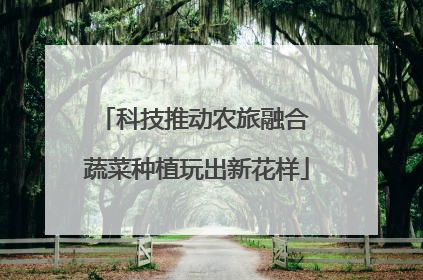 科技推动农旅融合 蔬菜种植玩出新花样