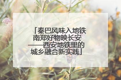 秦巴风味入地铁 南郑好物映长安——西安地铁里的城乡融合新实践