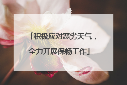 积极应对恶劣天气，全力开展保畅工作