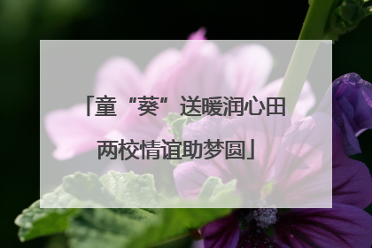 童“葵”送暖润心田 两校情谊助梦圆