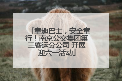 童趣巴士，安全童行！南京公交集团第三客运分公司 开展迎六一活动
