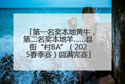 第一名奖本地黄牛，第二名奖本地羊……县街“村BA”（2025春季赛）圆满完赛