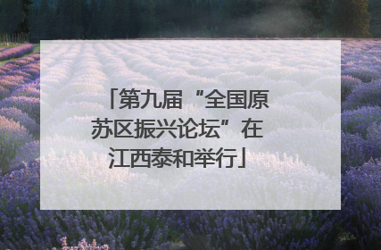第九届“全国原苏区振兴论坛”在江西泰和举行