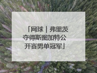 网球｜弗里茨夺得斯图加特公开赛男单冠军