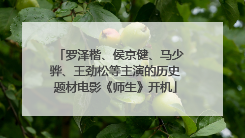 罗泽楷、侯京健、马少骅、王劲松等主演的历史题材电影《师生》开机