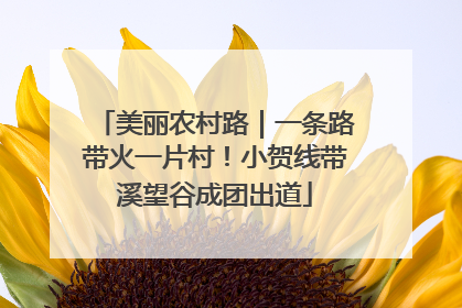 美丽农村路｜一条路带火一片村！小贺线带溪望谷成团出道