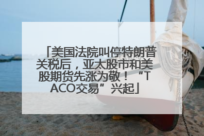 美国法院叫停特朗普关税后，亚太股市和美股期货先涨为敬！“TACO交易”兴起