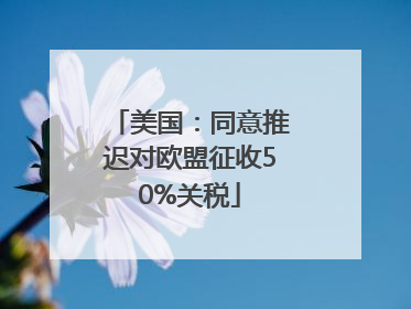 美国：同意推迟对欧盟征收50%关税