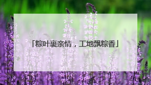 粽叶裹亲情，工地飘粽香