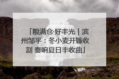 粮满仓·好丰光｜滨州邹平：冬小麦开镰收割 奏响夏日丰收曲