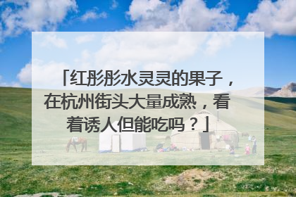红彤彤水灵灵的果子，在杭州街头大量成熟，看着诱人但能吃吗？