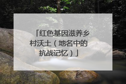 红色基因滋养乡村沃土（地名中的抗战记忆）