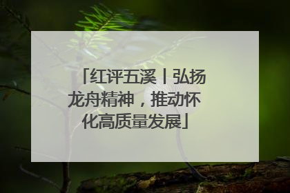 红评五溪丨弘扬龙舟精神，推动怀化高质量发展