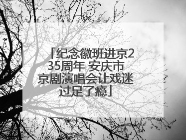 纪念徽班进京235周年 安庆市京剧演唱会让戏迷过足了瘾