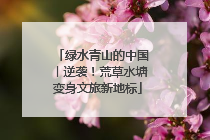 绿水青山的中国丨逆袭！荒草水塘变身文旅新地标