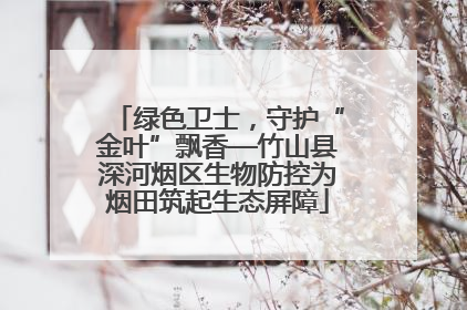 绿色卫士，守护“金叶”飘香—竹山县深河烟区生物防控为烟田筑起生态屏障