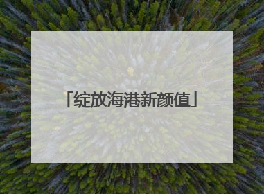 绽放海港新颜值