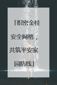 织密金桂安全网格，共筑平安家园防线
