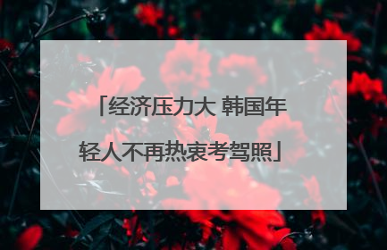经济压力大 韩国年轻人不再热衷考驾照