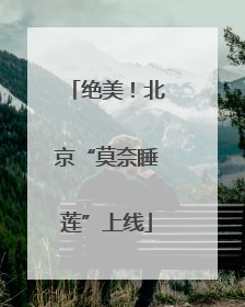 绝美！北京“莫奈睡莲”上线