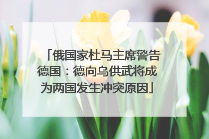 俄国家杜马主席警告德国：德向乌供武将成为两国发生冲突原因