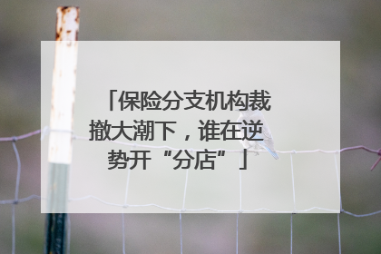 保险分支机构裁撤大潮下，谁在逆势开“分店”