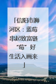 信阳市浉河区：蓝莓串起致富链 “莓”好生活入画来
