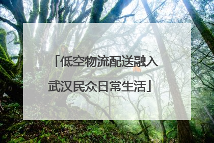 低空物流配送融入武汉民众日常生活
