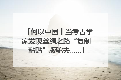 何以中国丨当考古学家发现丝绸之路“复制粘贴”版驼夫……