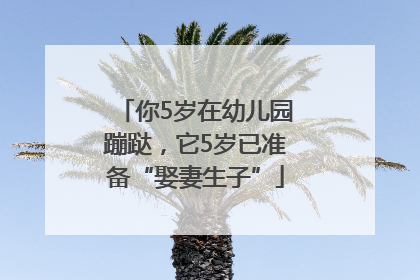 你5岁在幼儿园蹦跶，它5岁已准备“娶妻生子”