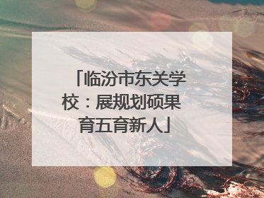 临汾市东关学校：展规划硕果 育五育新人