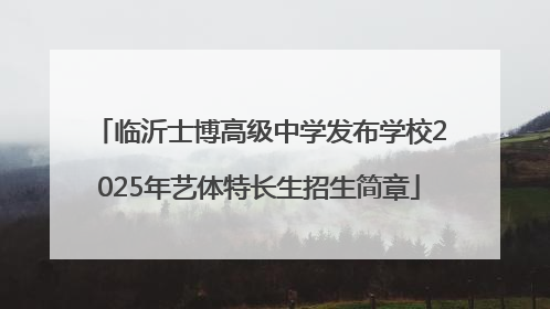 临沂士博高级中学发布学校2025年艺体特长生招生简章
