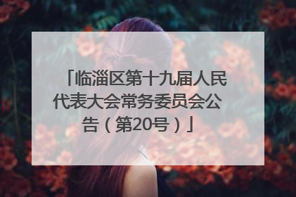 临淄区第十九届人民代表大会常务委员会公告（第20号）