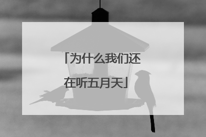 为什么我们还在听五月天