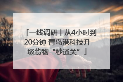 一线调研丨从4小时到20分钟 青岛港科技升级货物“秒通关”