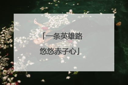 一条英雄路 悠悠赤子心