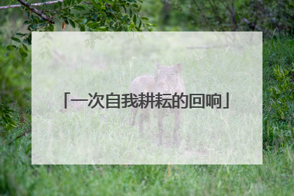 一次自我耕耘的回响