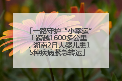 一路守护“小幸运”！跨越1600多公里，湖南2月大婴儿患15种疾病紧急转运