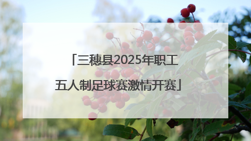 三穗县2025年职工五人制足球赛激情开赛