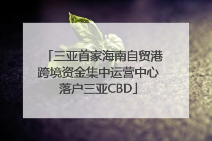 三亚首家海南自贸港跨境资金集中运营中心落户三亚CBD