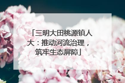 三明大田桃源镇人大：推动河流治理，筑牢生态屏障