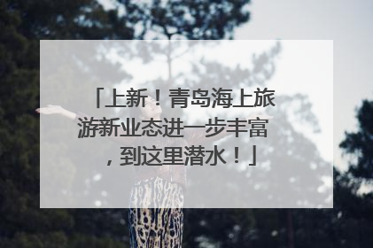 上新！青岛海上旅游新业态进一步丰富，到这里潜水！