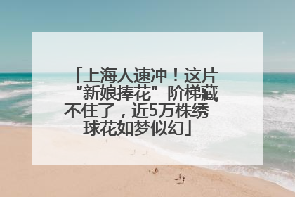 上海人速冲！这片“新娘捧花”阶梯藏不住了，近5万株绣球花如梦似幻