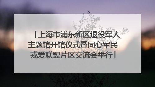 上海市浦东新区退役军人主题馆开馆仪式暨同心军民戎爱联盟片区交流会举行