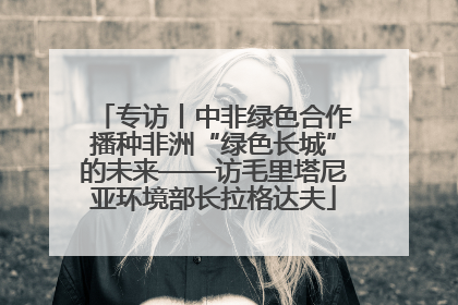 专访丨中非绿色合作播种非洲“绿色长城”的未来——访毛里塔尼亚环境部长拉格达夫