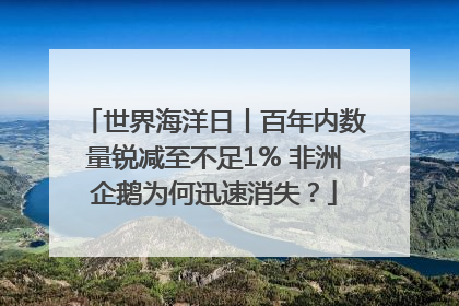 世界海洋日丨百年内数量锐减至不足1% 非洲企鹅为何迅速消失？