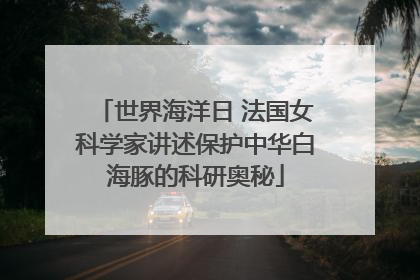 世界海洋日 法国女科学家讲述保护中华白海豚的科研奥秘
